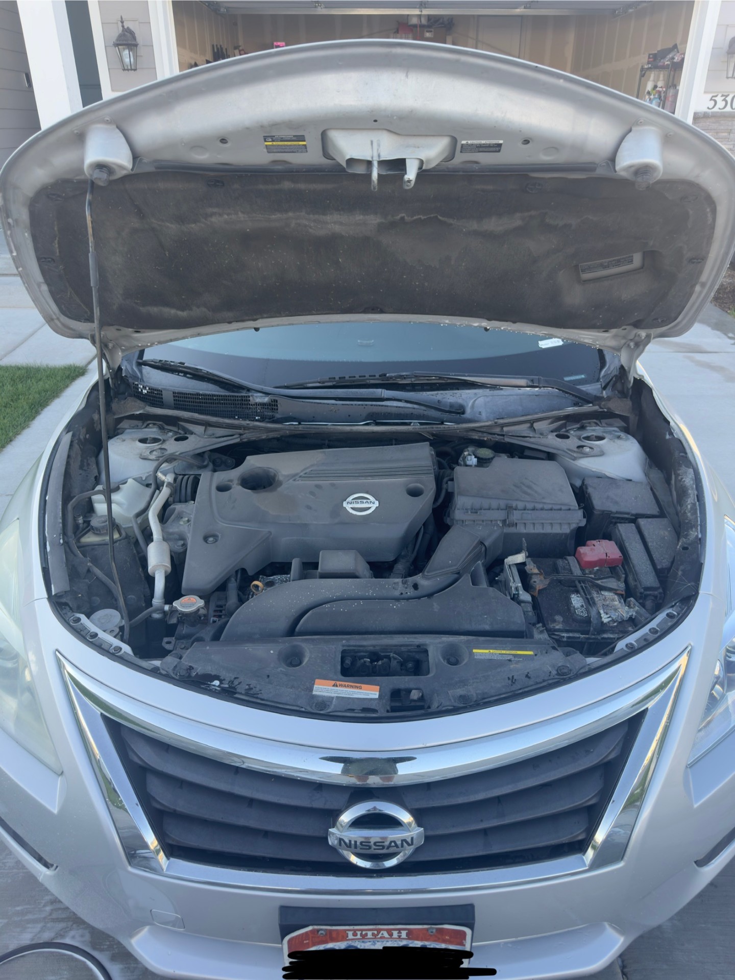 Before detailing